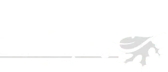 Action Landscaping, Inc.