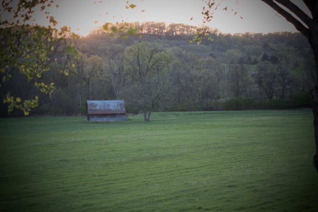 Picture of a farm with large plot of grass and trees in background at sunset