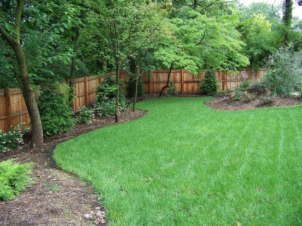 curvilinear bed lines in this backyard landscape create a natural border along the grass