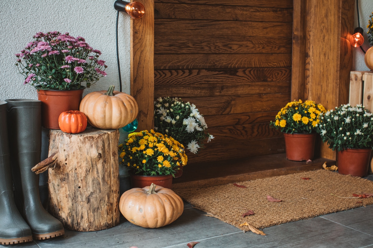 Read more about the article Do you suffer from Seasonal Porch Decorating Syndrome?