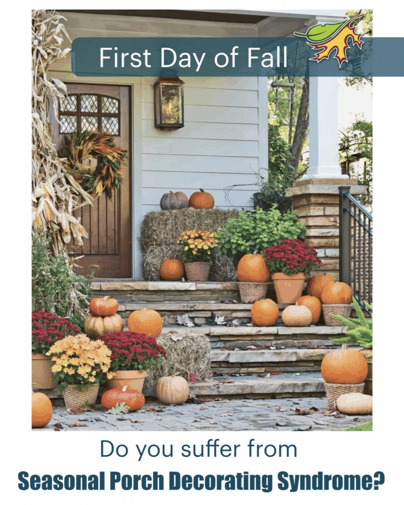 Do you suffer from Seasonal Porch Decorating Syndrome? 4