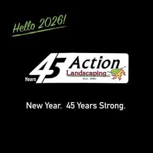 Read more about the article 45 Years Strong