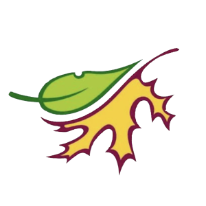 Picture of Action Landscaping