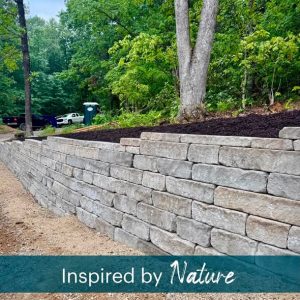 Read more about the article When architecture meets the landscape